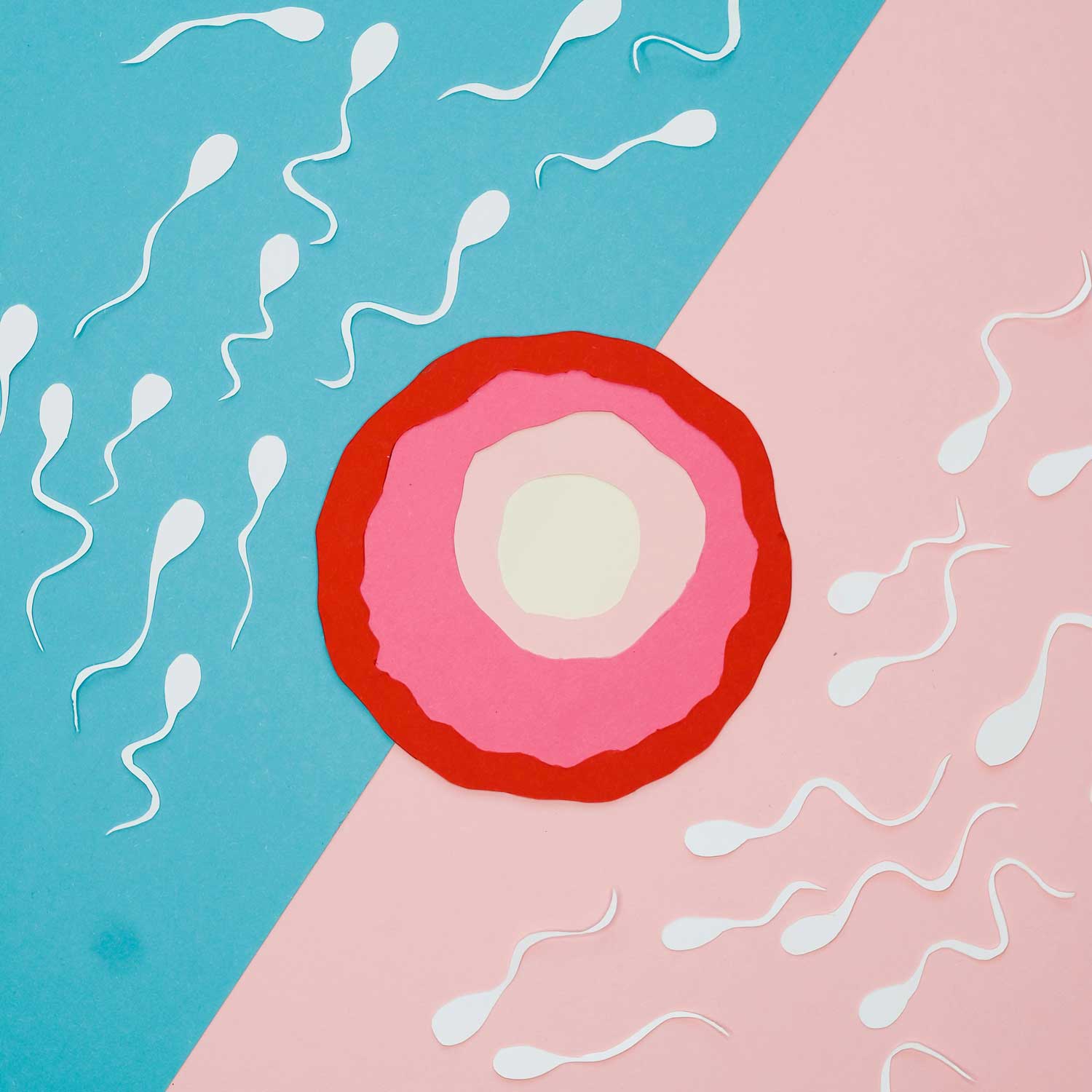 Sperm freezing