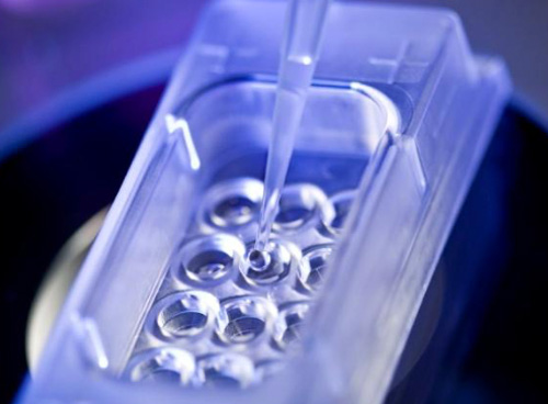 History of Embryo Incubators - what’s changed and why it’s important