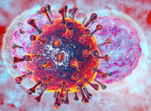 Natural Killer Cells & infertility