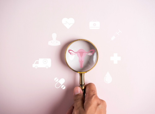 Fertility options for Premature Ovarian Insufficiency