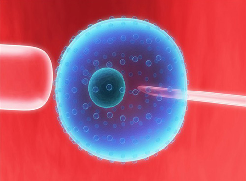 Embryo cryopreservation and storage