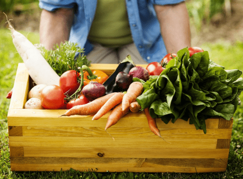How to improve fertility